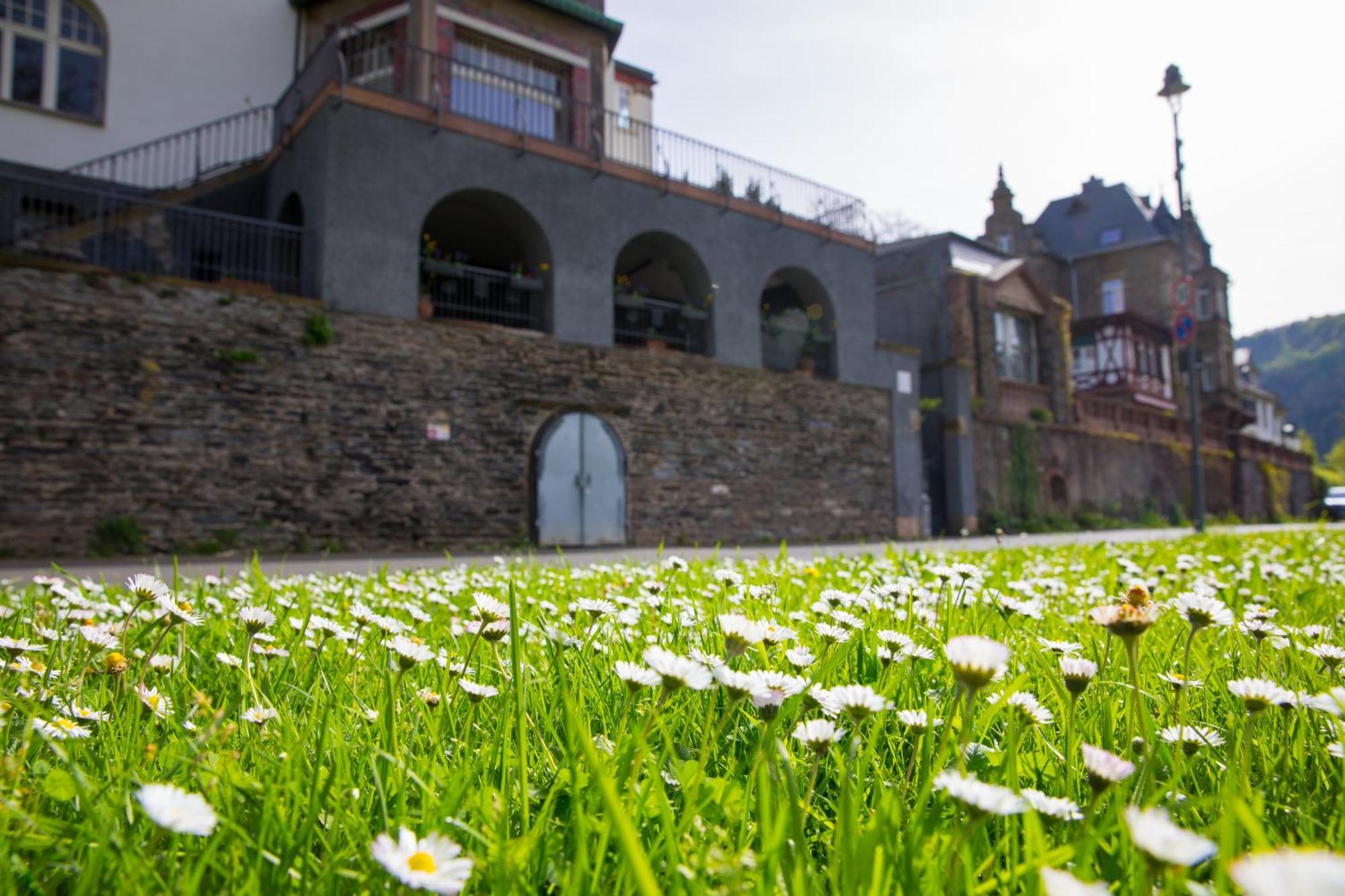 Apartmán Neu - Moselauszeit Traben Exteriér fotografie